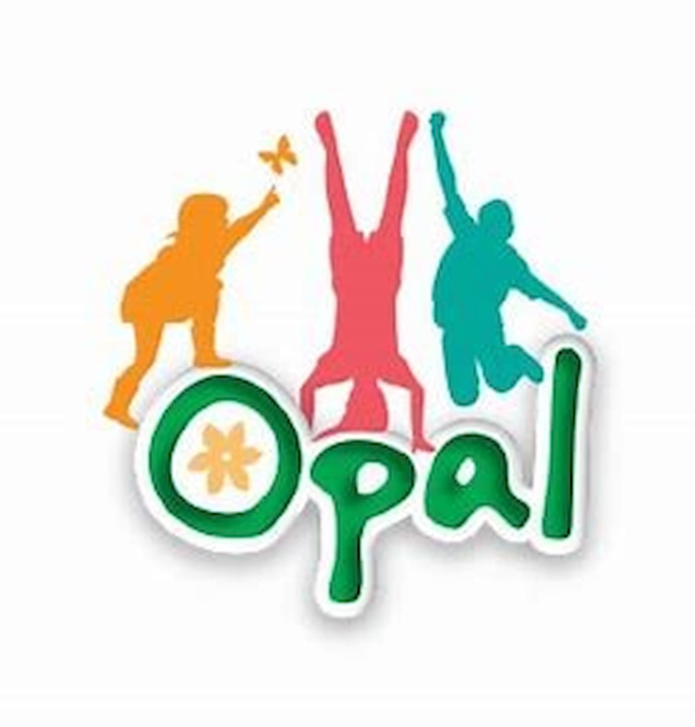 Outdoor Play and Learning