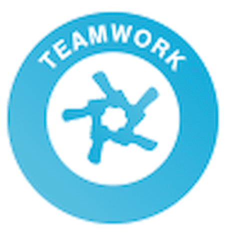 Working cooperatively with others towards a shared goal