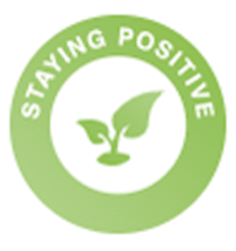 The ability to use tactics and strategies to overcome setbacks and achieve goals